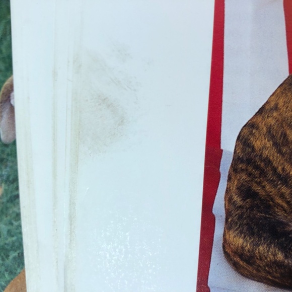 The American Pit Bull Terrier Handbook - Picture 2 of 6